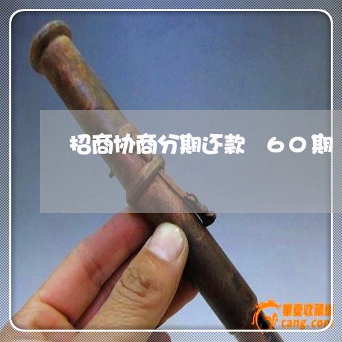 招商协商分期还款 60期/2023070862715